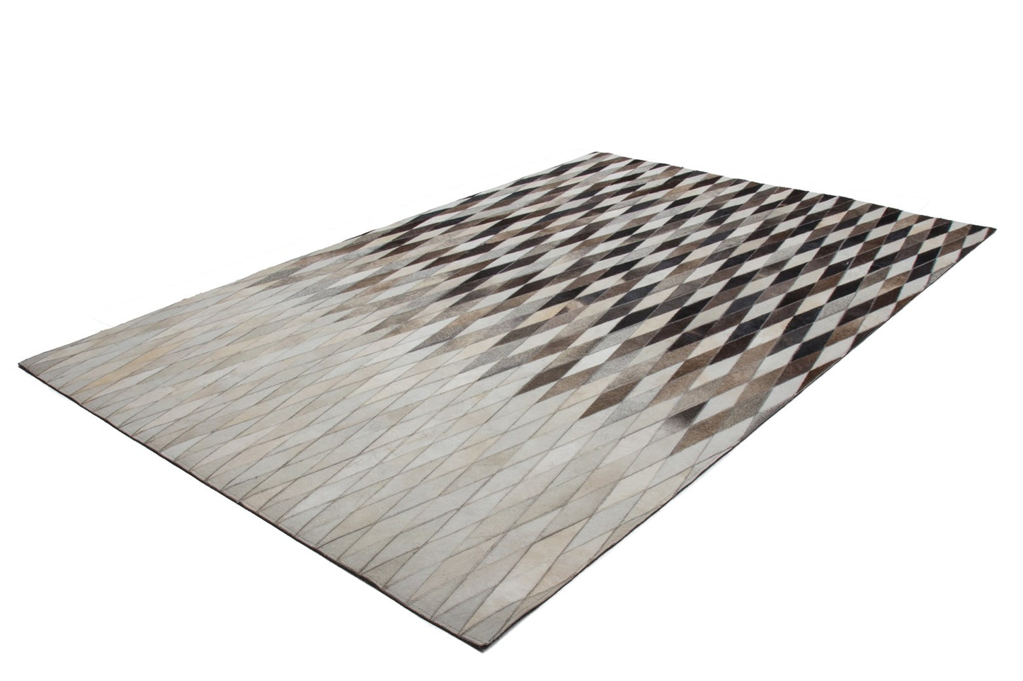 Rotoric 500