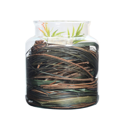 Dekoglas Greeneric 800 Natural