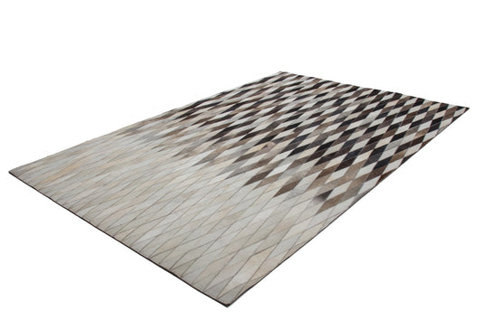 Rotoric 500